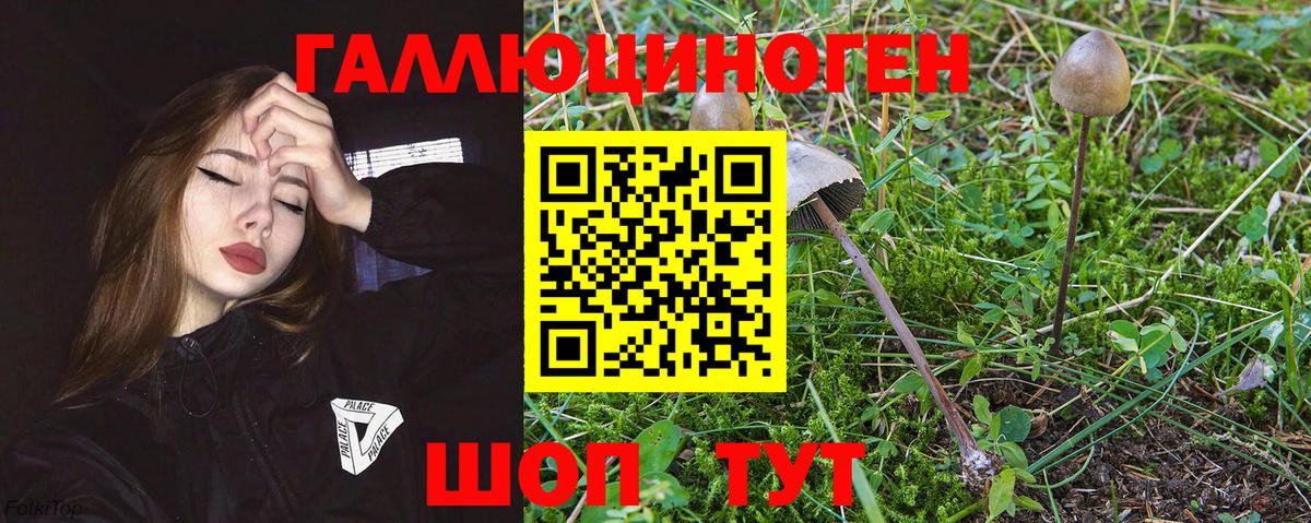 Галлюциногенные грибы Magic Shrooms Северобайкальск