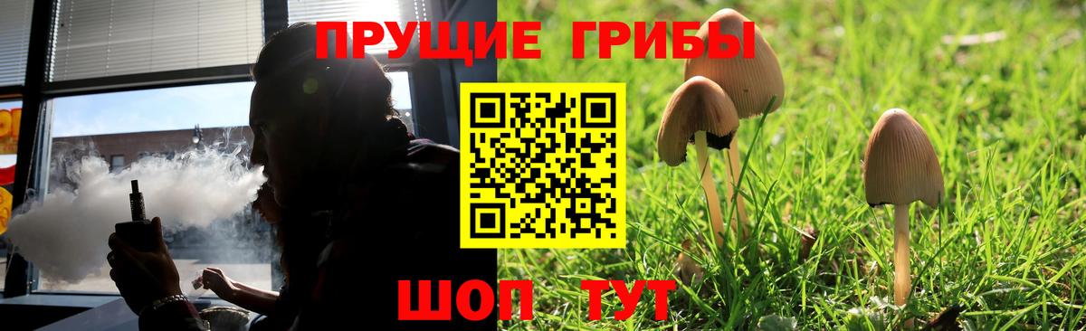 Северобайкальск  Галлюциногенные грибы Psilocybine cubensis  Вход с VPN  Псилоцибиновые грибы мухоморы 